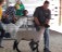 Deputy Anders in the celebrity round robin showing sheep at the Clay County Fair